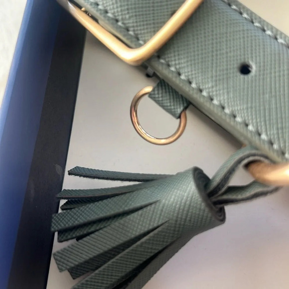 Southern Living Vegan-Leather Dog Collar Teal-Blue w/ Tassel Gold HW NWT - Picture 13 of 14